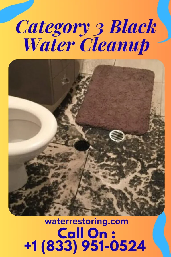 Category 3 Black Water Cleanup in Oakland, NJ