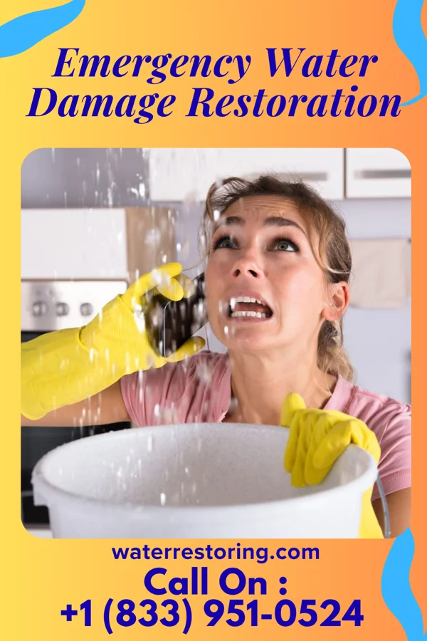 Emergency Water Damage Restoration in Oakland, NJ