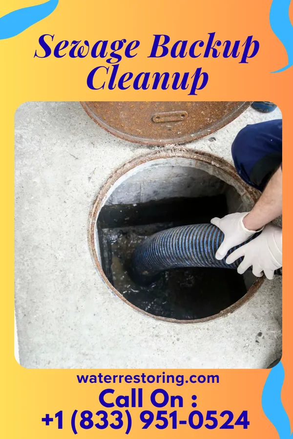 Sewage Backup Cleanup in Oakland, NJ